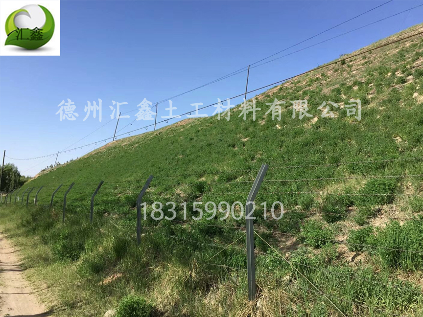 青蘭高速流泉段周邊復綠提升項目連接道路兩側